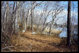 Birch Plain Creek